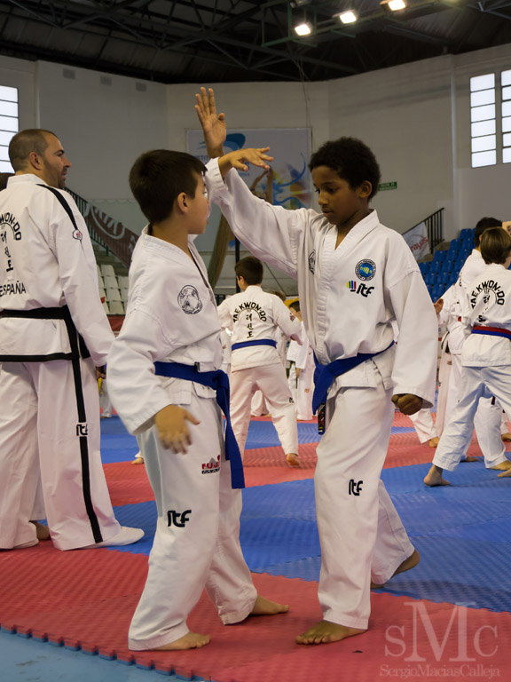 DIA DEL TAEKWONDO ABRIL 2017_3971.JPG